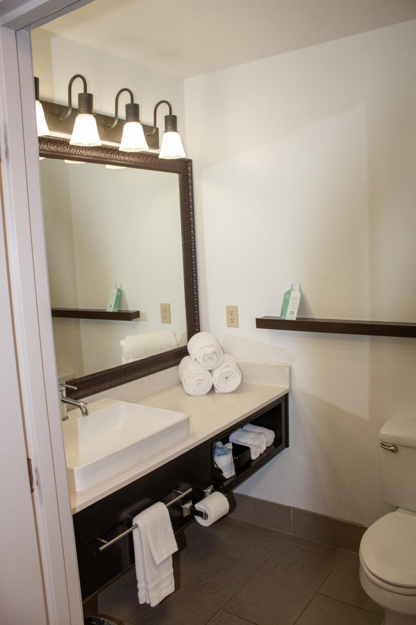 Country Inn & Suites By Radisson, Big Rapids, Mi Luaran gambar